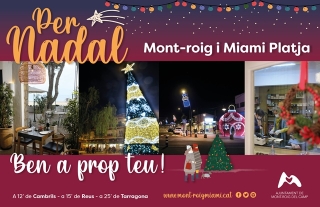 Imatge de la nova campanya promocional &quot;Per Nadal, Mont-roig i Miami Platja, ben a prop teu&quot; 