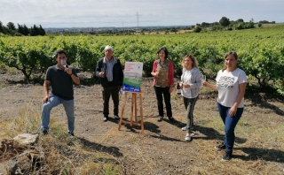 Imatge de la roda de premsa de presentació de la campanya &#039;La nostra vinya, el vostre jardí&#039;