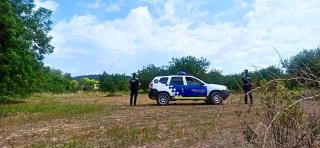 La Policia Local i Protecció Civil han posat en marxa una campanya de vigilància i control de les zones rurals, per tal d’evitar els furts dels fruits del camp