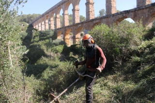 Imatge d&#039;un dels operaris que talla massa forestal davant del Pont del Diable de Tarragona