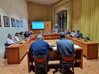Imatge del ple celebrat al Consell Comarcal de la Conca de Barberà on es va aprovar la signatura dels convenis