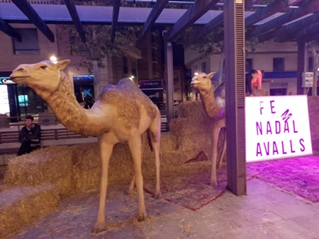 Village Valls camells