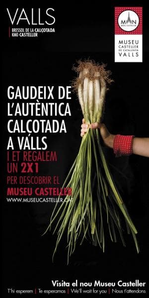  Museu Casteller-Valls