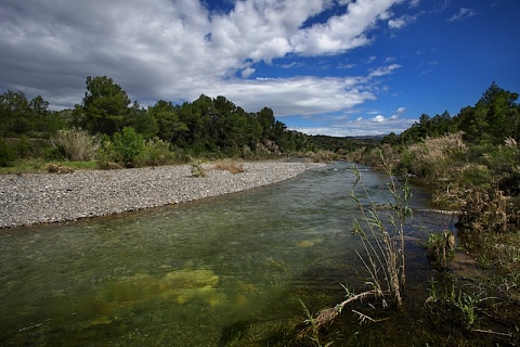 Imatge del riu Francolí