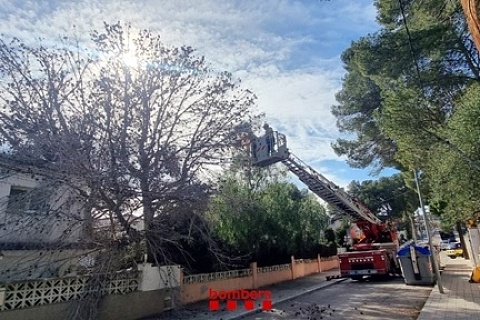 Els bombers retiren un arbre caigut a sobre d'una casa del passatge de Turquia, a Segur de Calafell