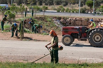Imatge d'arxiu d'uns treballadors del Pla d'Ocupacíó de Vila-seca del 2024