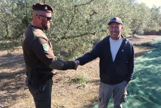 El guarda rural de Constantí saluda un pagès del poble que fa la collita d&#039;olives