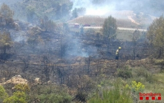 Nou dotacions terrestres i un helicòpter bombarder treballen en l&#039;incendi forestal de Cornudella de Montsant
