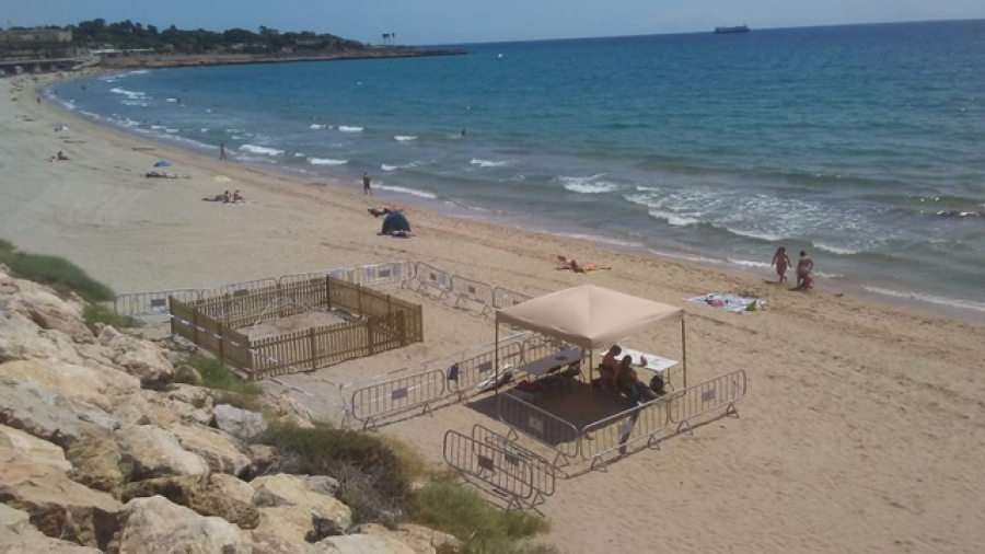 Imatge de les instal·lacions de custòdia del niu de tortuga babaua de la platja del Miracle de Tarragona