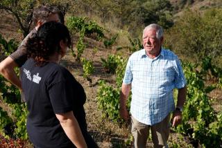 La Mireia Vilamalla i l&#039;Albert Crivillé, juntament amb el seu pare, conversant en una finca de vinya