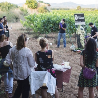 Imatge del primer tast de vins DO Tarragona celebrat en unes vinyes de Cellers Blanch, situades a tocar de Bràfim