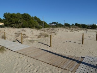 Zona de dunes de la platja Llarga de Tarragona.