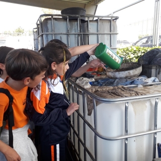 Alumnes de l&#039;Escola Les Comes de Rodonyà van visitar la deixalleria i la depuradora de Valls per conèixer les diferents fraccions que s’hi poden dipositar