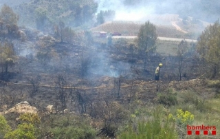 Uns bombers en tasques d&#039;extinció de l&#039;incendi forestal de Cornudella de Montsant