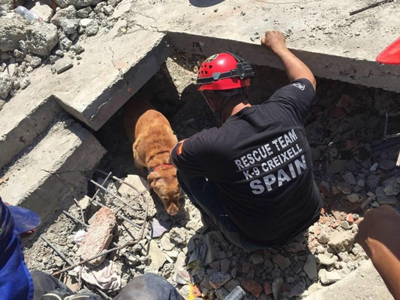 Imatge de la unitat de rescat canina K-9 de Creixell actuant a l&#039;Equador en un edifici ensorrat pel terratrèmol que va sacsejar el país, el 17 d&#039;abril de 2016