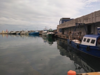 Imatge de barques de pesca amarrades al port de Cambrils, el 25 de març del 2020.