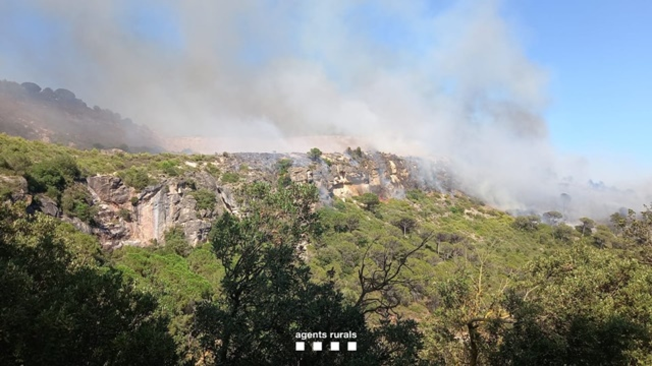 L&#039;incendi d&#039;Alforja afecta una superfície aproximada d&#039;unes 5 hectàrees, segons dades provisionals