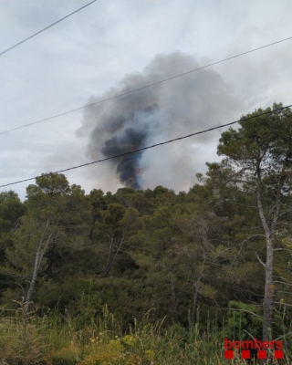 La columna de fum causada per l&#039;incendi de vegetació forestal a Querol 