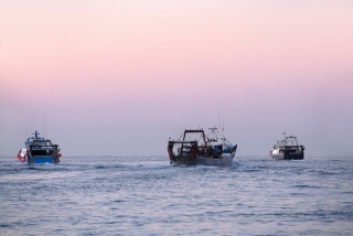 Pesca Turisme permet conèixer de primera mà el dia a dia dels pescadors cambrilencs, a més de la tècnica d’arrossegament