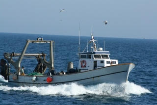 La direcció general de Pesca vol fer canviar de confraria la meitat de les embarcacions calafellenques ancorades a Vilanova i la Geltrú
