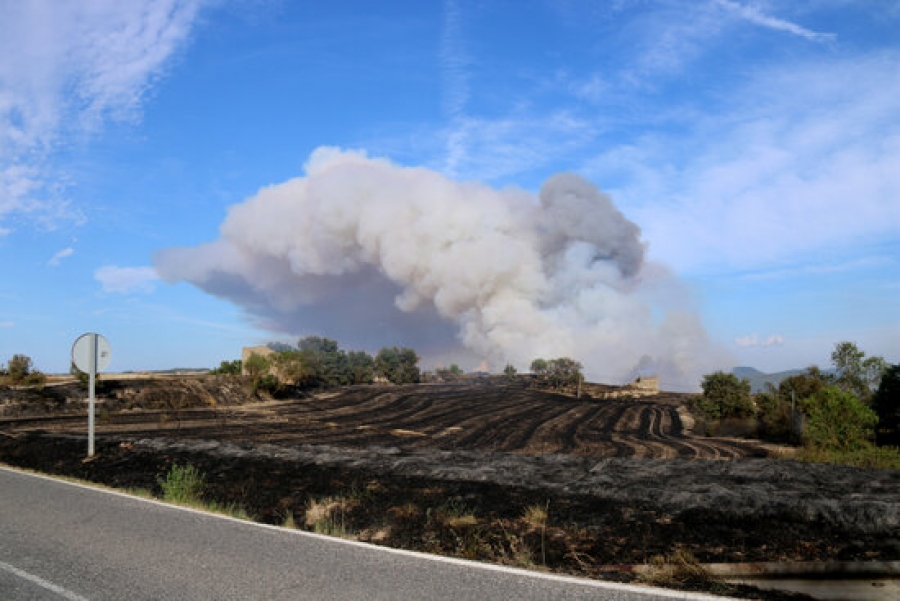 Imatge d&#039;un camp de conreu cremat al terme municipal de Santa Coloma de Queralt i fum al fons del foc que segueix actiu, el 24 de juliol del 2021