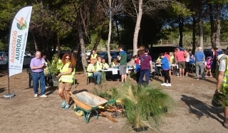 Uns 150 voluntaris es van inscriure diumenge a la jornada celebrada a la platja Llarga