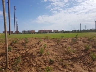 Imatge de l&#039;estat que presenta el camp que havia d&#039;utilitzar el Club Rugby Tarragona (CRT) a l&#039;Anella Mediterrània