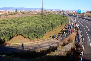 Un grup de persones participen en la passejada per l'horta de Tarragona, a tocar de l'A-27