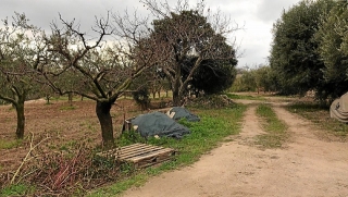 Terrenys on hi ha soterrat un gran poblat iber,a Banyeres del Penedès