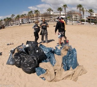 Les persones voluntàries van recollir entre 300 i 400 kg de brossa de la platja del Regueral de Cambrils