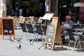 Un client en una terrassa de la plaça del Mercadal de Reus, observant un grup de coloms passejant entre les taules i cadires d&#039;aquest local de restauració