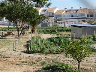 Un dels horts que estaran disponibles pels veïns a la zona de Plademar