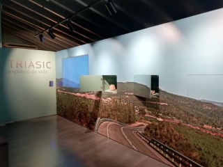 La nova sala del Triàsic al Museu d&#039;Alcover