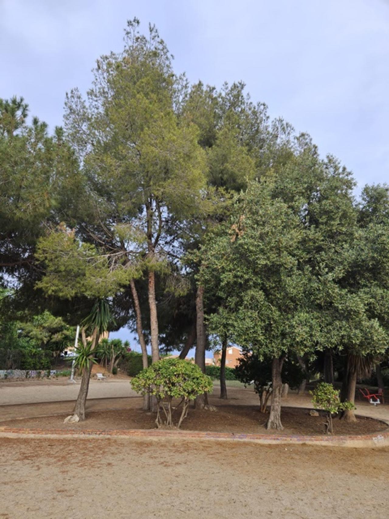 Imatge del parc Montserrat Garriga, que serà el centre neuràlgic de la festa