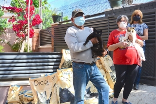 L&#039;Ajuntament de Salou ha donat 500 kg de pinso a les entitats animalistes per alimentar les colònies felines