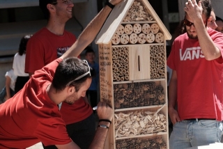 Instal·lació de l’hotel d’insectes al Jardí de les Papallones, al campus Sescelades