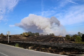 Imatge d&#039;un camp de conreu cremat al terme municipal de Santa Coloma de Queralt i fum al fons del foc que segueix actiu, el 24 de juliol del 2021