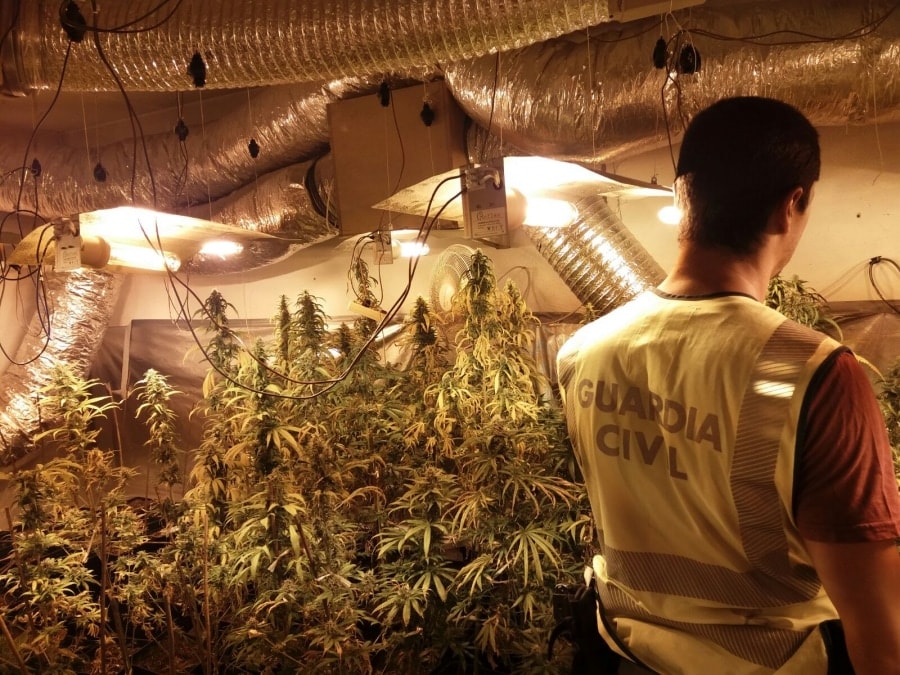La Guàrdia Civil ha desmantellat una plantació de marihuana en un habitatge d&#039;una urbanització de la Bisbal del Penedès