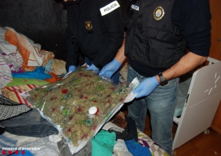 Els dos quilos de cabdells de marihuana envasats al buit localitzats a l&#039;interior d&#039;una casa adossada de Roda de Berà. Imatge publicada, el 20 de desembre del 2019