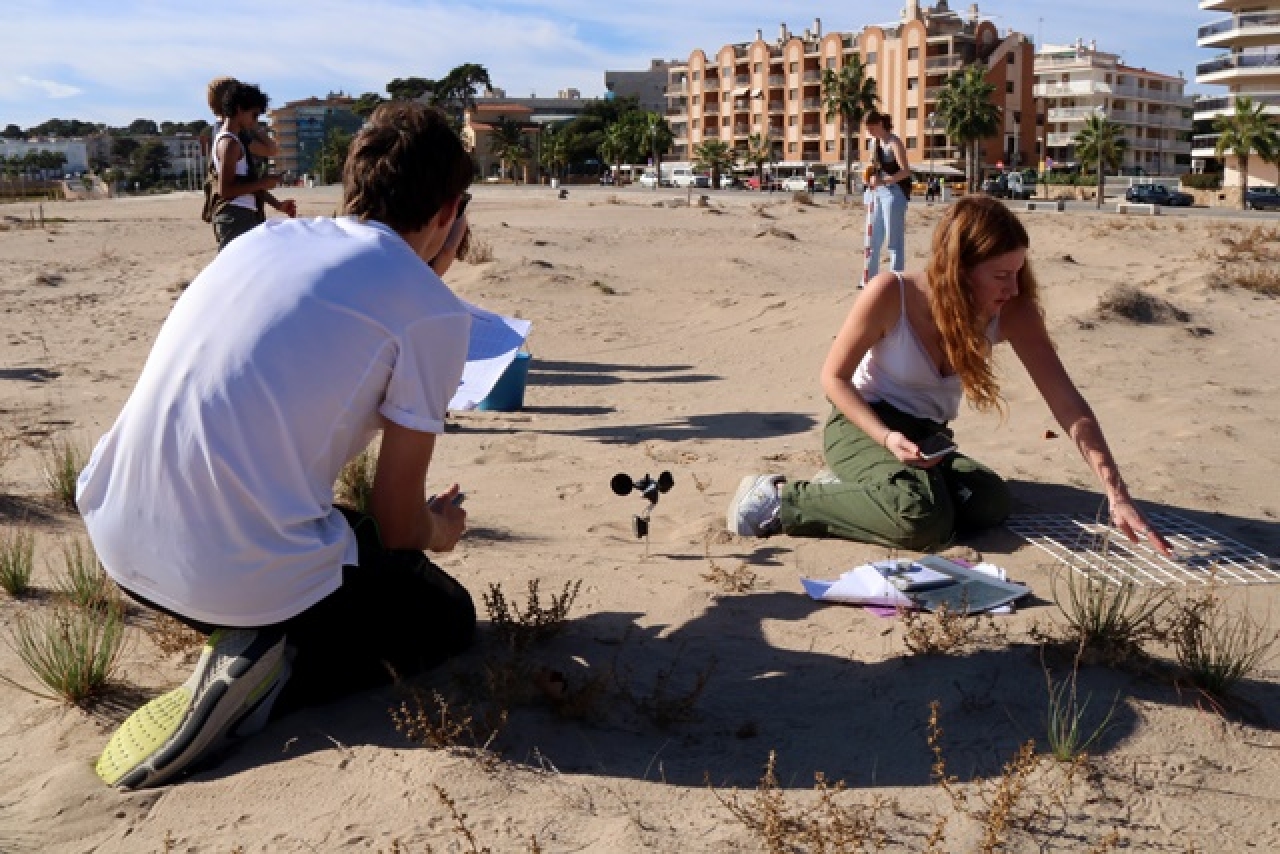 Alumnes de l&#039;International School of the Hague participant en l&#039;activitat de renaturalització de les dunes de la platja de la Paella de Torredembarra 