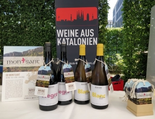 Els vins de la DO Montsant s&#039;han promocionat a la festa d&#039;estiu dels estats federals a Berlín