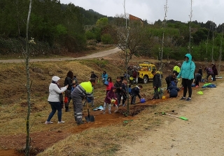 Els nens i les nenes de l&#039;Escola Valdelors han plantat xops a la zona del barranc, davant del rentador