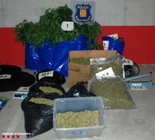 Material comissat pels Mossos d&#039;Esquadra en una plantació de marihuana a Rodonyà