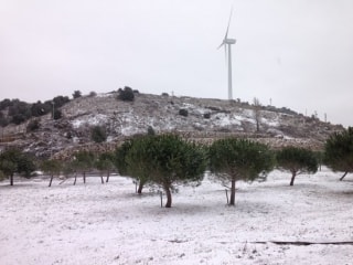 Pla obert d&#039;un camp nevat a la zona del Coll de la Teixeta, a cavall del Baix Camp i el Priorat