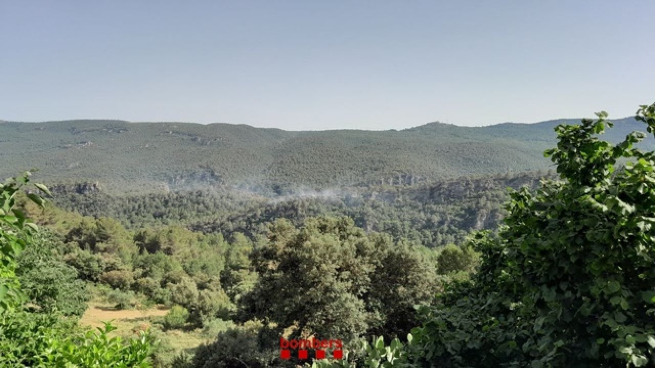 Els Bombers de la Generalitat han donat per controlat l’incendi forestal entre la Riba i Farena, a l&#039;Alt Camp