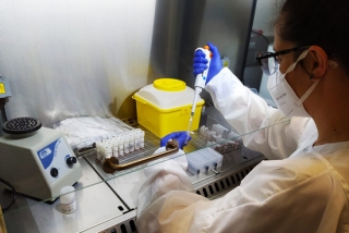 Imatge d&#039;una professional del Laboratori Clínic de la Fundació Salut Empordà processant mostres de PCR