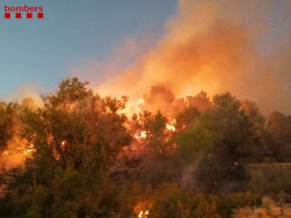 Flames per sobre d&#039;uns arbres fotografiades pels Bombers de la Generalitat en un incendi de vegetació forestal a Tortosa, el 14 d&#039;octubre del 2020