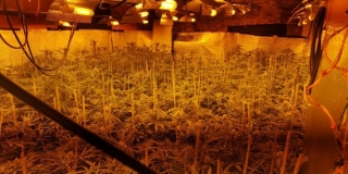 Imatge d&#039;arxiu d&#039;una gran plantació de marihuana indoor localitzada per la Guàrdia Civil en una operació contra una banda criminal a l&#039;Alt Camp, el 24 de juliol del 2019