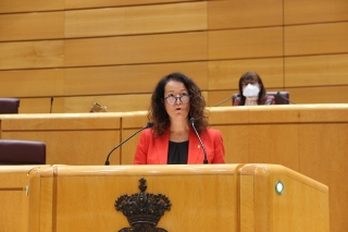 La moció l’ha defensat la senadora tarragonina Laura Castel