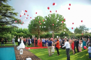 Imatge d&#039;arxiu d&#039;uns nuvis celebrant el seu casament en uns jardins 